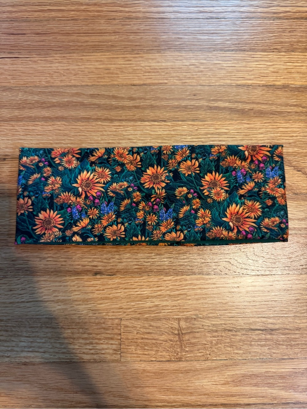 Rachel Pohl Art headband